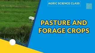 PASTURE AND FORAGE CROPS  | AGRICULTURAL SCIENCE