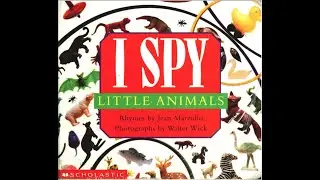 I Spy Little Animals