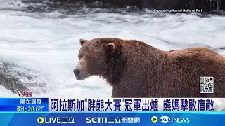 美