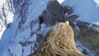 EagleSky