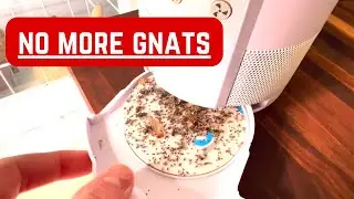 Katchy Duo Indoor Insect Trap with Scent Pod - Fan Powered with UV Light
