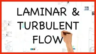 LAMINAR AND TURBULENT FLOW  -PHYSICS SERIES