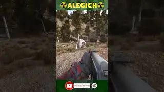 Кикимора на свалке. Прохождение STALKER ANOMALY 1.5.3 GAMMA 0.9.4