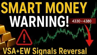 SMART MONEY WARNING!VSA + EW Signals Reversal