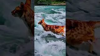 Brave Cat's Adventure in the Enchanted Forest😎  #part1  #shorts #shortsvideo #viralshorts #trending