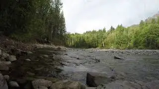 LiveStream Alert! Sometimes You Just Need to Sit on a Rock Relaxing Water Sounds Will Help You Sleep
