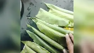 Manya chapala appam#Malayalam vidio#kaserkod recipe#