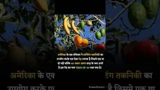 Tree Of 40 New Fact || #shorts #shortvideo #treeof40 #tree #viral #facts #factsinhindi #gk #fruit