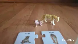Dinosaur Names & Animal Puzzle Pieces 