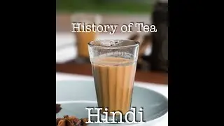 History of Tea : How did India ended up drinking Tea (Hindi)