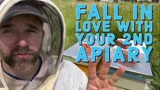 3 Tips and 3 Benefits to Keeping a Second Bee Yard