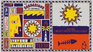 The Barbarians of California - No Sir I Won't Wear Your Jacket (Official Visualizer)