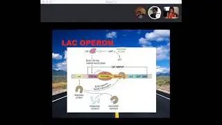 Lac Operon, E Coli, & Thiazides