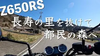 【Z650RS】上野原ICから奥多摩周遊道路へツーリング | 東京都心から都民の森に向かう最短ルートかも | 無為徒食のモトブログ