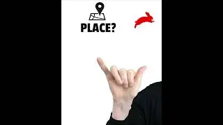 ⚡ Fingerspelling Recognition Exercise | Fingerspell In American Sign Language | Beginner ASL Basics