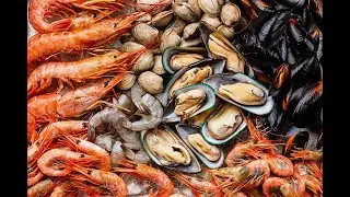 Understanding Ostraconophobia - Conquering the Fear of Shellfish (3 Minutes)