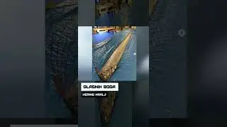 Glasnik boga. Hering kralj