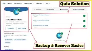 Backup & Recover Basics | Salesforce Trailhead | Quiz Solution
