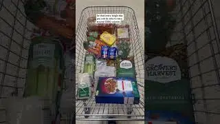 &pound;10 weekly shopping budget in the UK October 2024 #costofliving