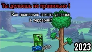 Как правильно сажать деревья в террарии? | деревья в террарии | гайд