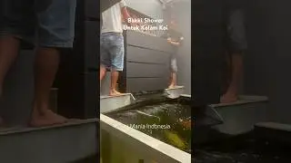 Bakki shower untuk kolam koi 085640316150 #kolamkoi #bakkishower #tukangkolamkoi