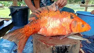 Amazing American Ruhi fish cutting skills in fish market.