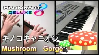 【Mario Kart 8DX】キノコキャニオン BGM  Mushroom Gorge  カバー演奏