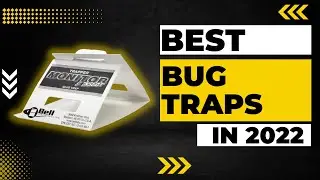 Best Bug Traps to Help You Get Rid of Insects in 2023