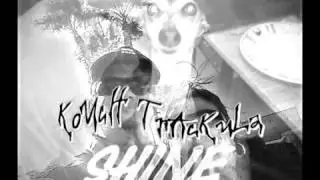 SHYNE