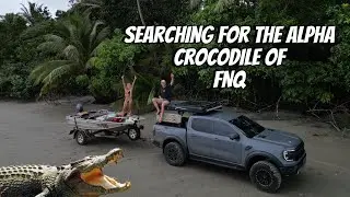 Searching Cape Tribulation for wild saltwater crocodiles