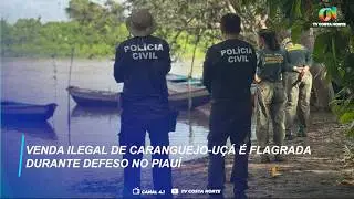 Venda ilegal de caranguejo-uçá é flagrada durante defeso no Piauí