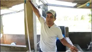 Biodigestor: Ideia simples reduz drasticamente custos com gás de cozinha no extremo sul da Bahia