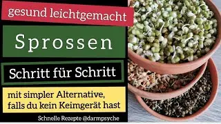 Rohkost einfach erkl&auml;rt - Wie kann man Sprossen selber ziehen - Anleitung mit und ohne Keimger&auml;t