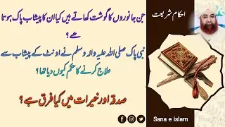 Ahkam e shariat /Is the urine of the animals whose meat we eat pure? Mufti Akmal sahib fan 21-10-24