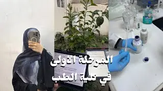 ايام المرحلة الاولىٰ طب كربلاء ݁𖥔 𐙚 ˖ ݁