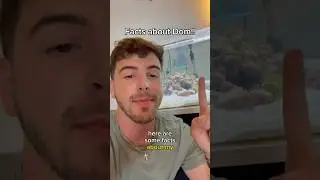 Facts about Dom!