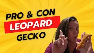 Pros and Cons of Owning Leopard Geckos