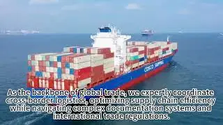 FCL LCL DDP shipping service