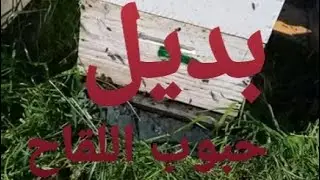 مقادير الخلطة البروتينية  لتفادي موت اليرقات وجوع النحل بعد جني العسل، ولتقوية النحل.(31/08/22)