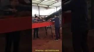 Palm fiber shredding