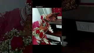 😂😂#funnyshorts#viral#reach#exploremore#yutube#funnyfunnyfunny#daily #reachinginlove