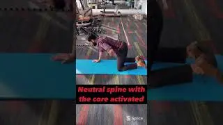 Core stability exercises