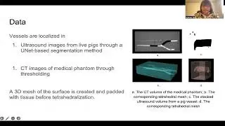 RMDO2023: 3D Deformation Simulation for Vascular Tissue with 2D Medical Imaging