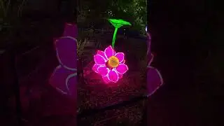 Santa Barbara zoo Christmas lights