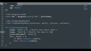 NodeJS - Find and update a record with Mongoose