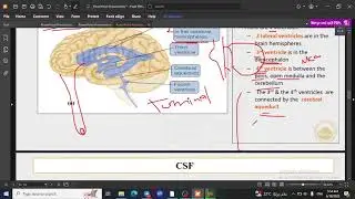 15- CSF circulation (KSIU)
