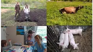 И СМЕШНО И ГРУСТНО!!!🙈😁🧘🌾🌱🤱🥞🐄🐖