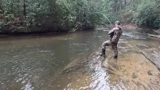 Thanksgiving Fly Fishing Soque River at Blackhawk