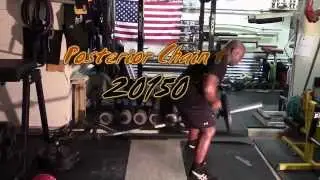 Posterior Back training with moderate weights