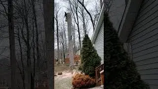 Rope Failure- Tree Climber Fail #shorts #viral #treeclimbing #arborist #rigging #music #treeremoval